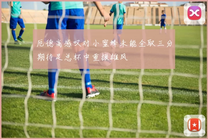 厄德高感叹对小蜜蜂未能全取三分期待足总杯中重振雄风